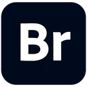 Adobe Bridge 2025
