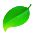 Coda 2